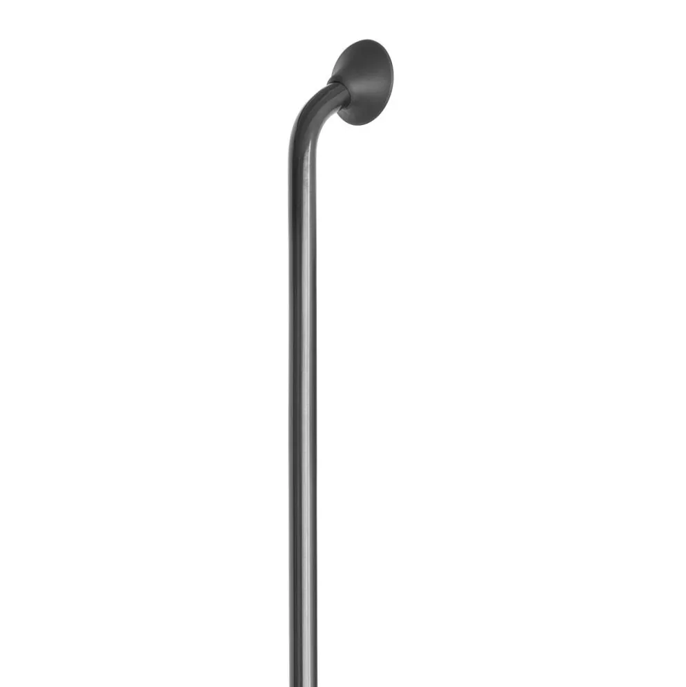 Douche/toilet Linido wandbeugel ergogrip staal