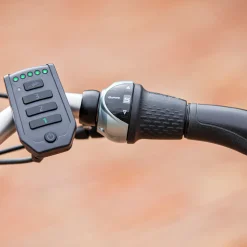 Driewielfiets VanRaam Maxi Comfort