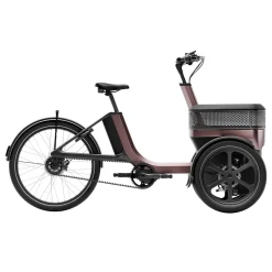 Driewielfiets VanRaam Thuja riem aandrijving