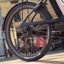Driewielfiets VanRaam Thuja riem aandrijving