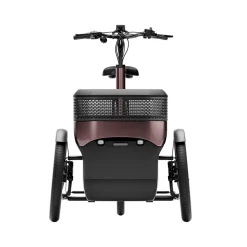 Driewielfiets VanRaam Thuja riem aandrijving