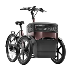 Driewielfiets VanRaam Thuja riem aandrijving