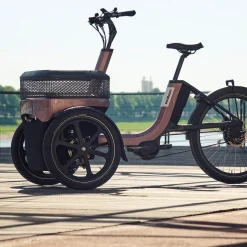 Driewielfiets VanRaam Thuja riem aandrijving