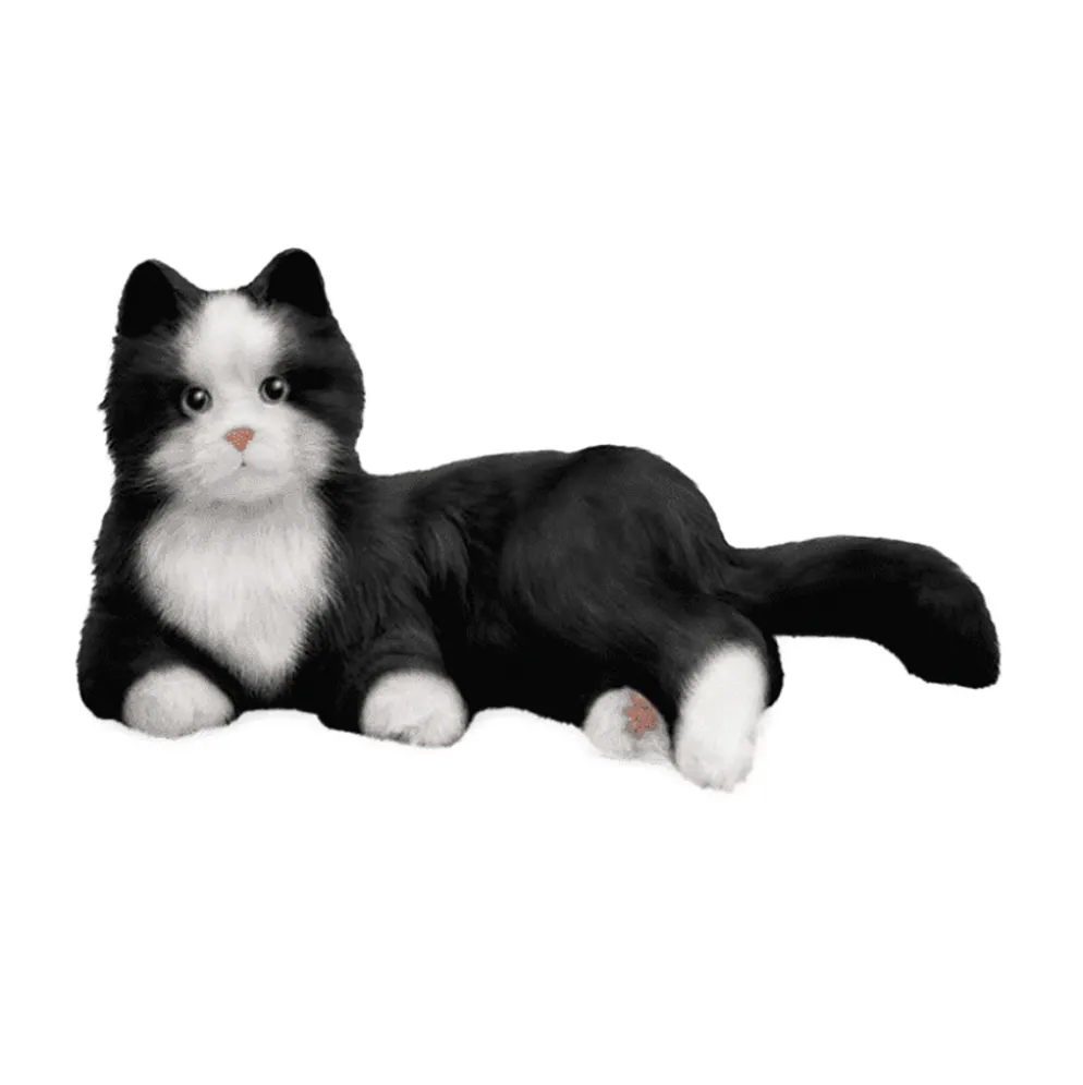 Interactieve kat Blacky